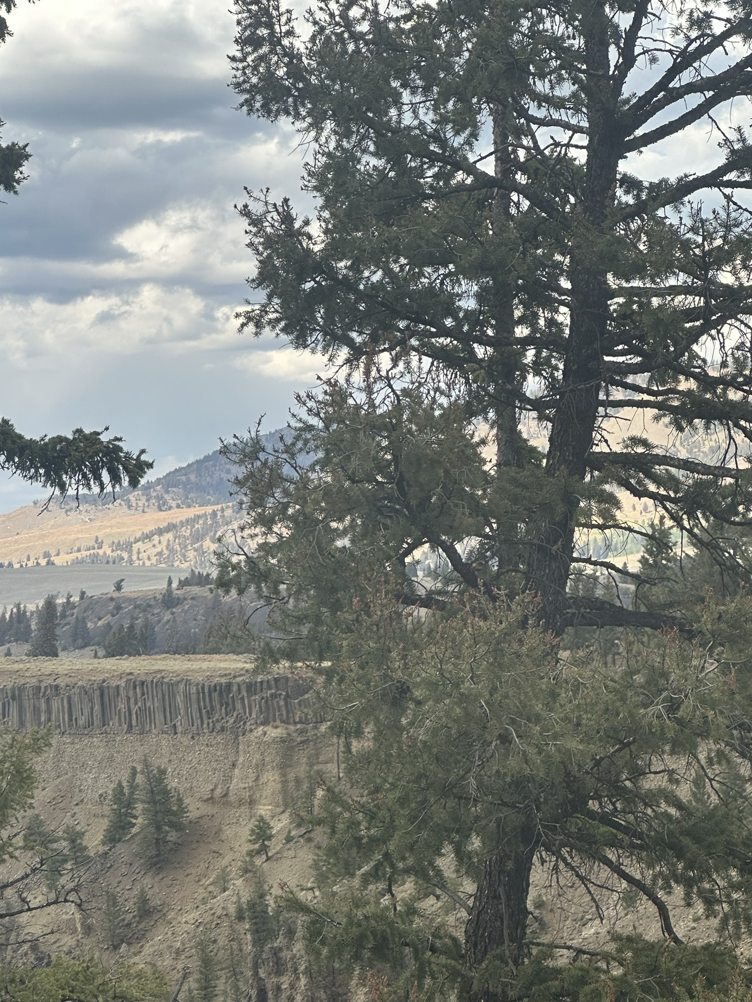 Yellowstone And Grand Teton National Parks - Image 842